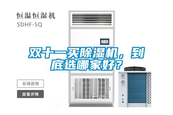 双十一买精品一区二区三区水蜜桃，到底选哪家好？