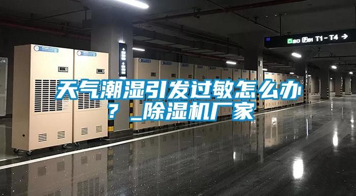 天气潮湿引发过敏怎么办？_精品一区二区三区水蜜桃厂家