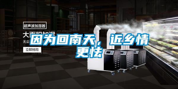 因为回南天，近乡情更怯