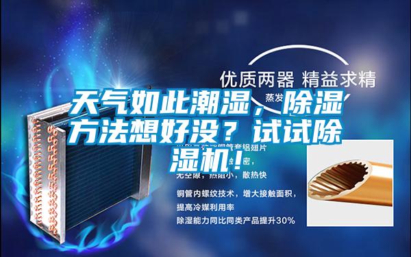 天气如此潮湿，除湿方法想好没？试试精品一区二区三区水蜜桃！