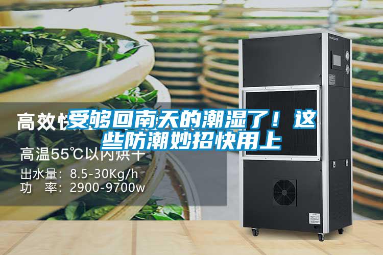 受够回南天的潮湿了！这些防潮妙招快用上