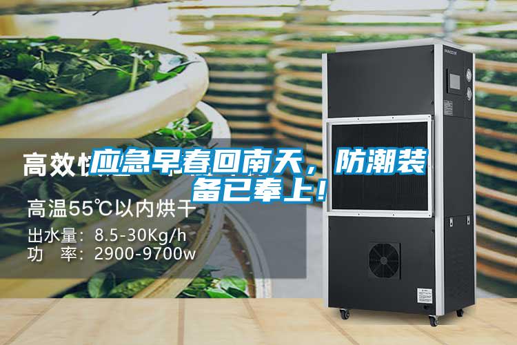 应急早春回南天，防潮装备已奉上！