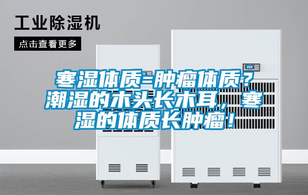 寒湿体质=肿瘤体质？潮湿的木头长木耳，寒湿的体质长肿瘤！