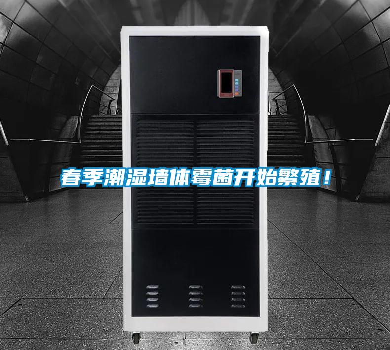 春季潮湿墙体霉菌开始繁殖！