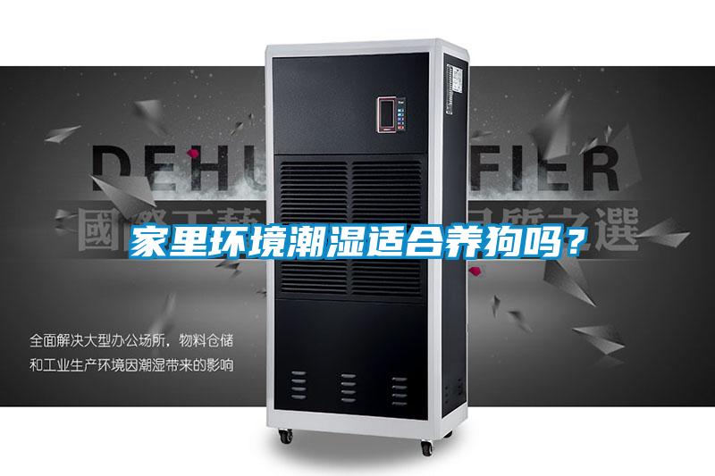 家里环境潮湿适合养狗吗？