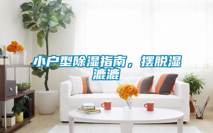 小户型除湿指南，摆脱湿漉漉