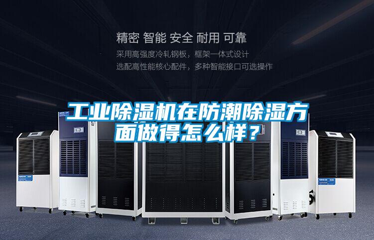 工业精品一区二区三区水蜜桃在防潮除湿方面做得怎么样？