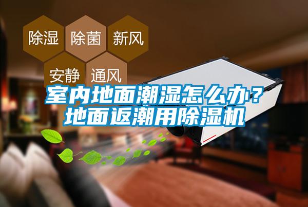 室内地面潮湿怎么办？地面返潮用精品一区二区三区水蜜桃