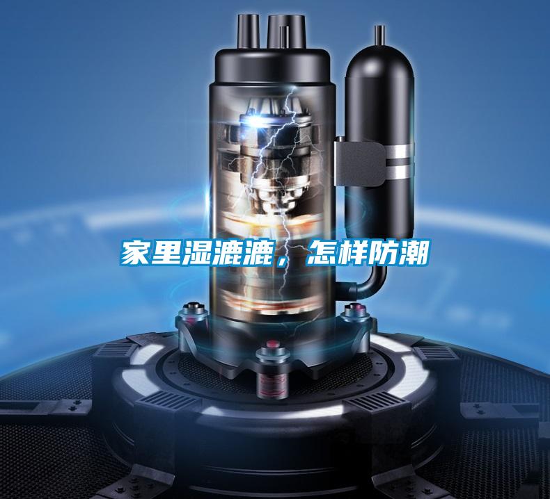 家里湿漉漉，怎样防潮