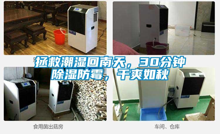 拯救潮湿回南天，30分钟除湿防霉，干爽如秋