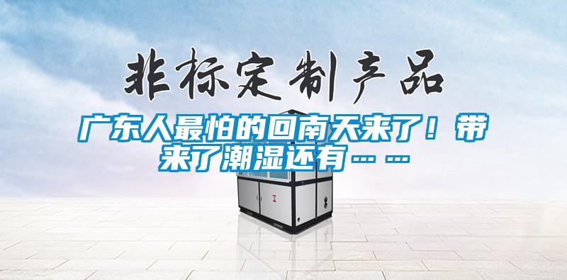 广东人最怕的回南天来了！带来了潮湿还有……