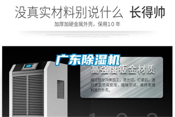 广东精品一区二区三区水蜜桃