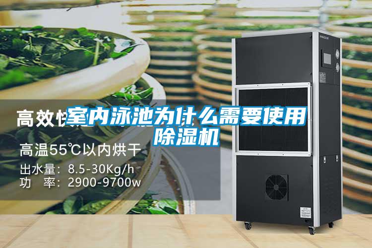 室内泳池为什么需要使用精品一区二区三区水蜜桃