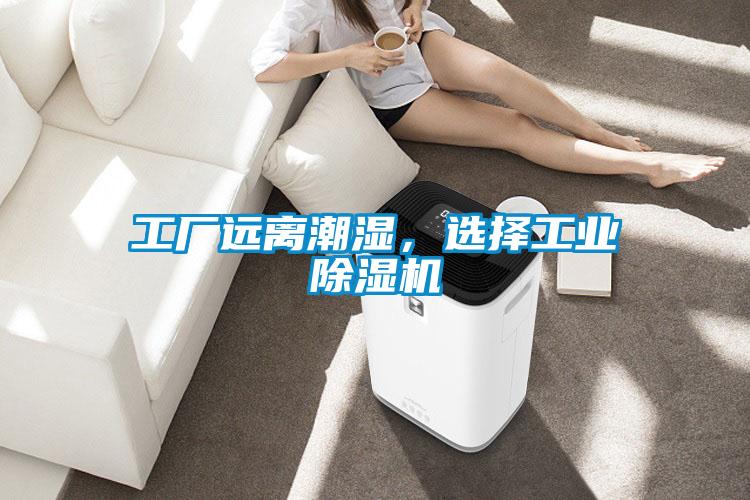 工厂远离潮湿，选择工业精品一区二区三区水蜜桃