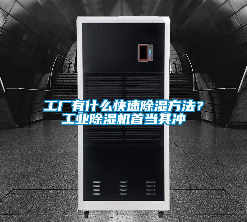 工厂有什么快速除湿方法？工业精品一区二区三区水蜜桃首当其冲