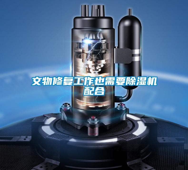 文物修复工作也需要精品一区二区三区水蜜桃配合