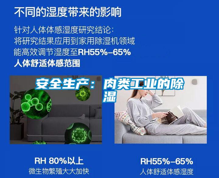 安全生产：肉类工业的除湿