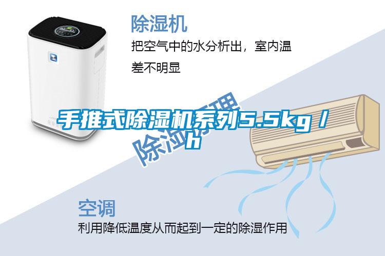 手推式精品一区二区三区水蜜桃系列5.5kg/h