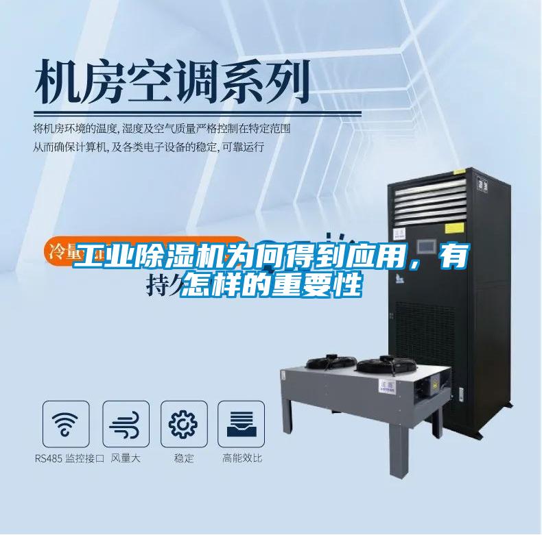 工业精品一区二区三区水蜜桃为何得到应用，有怎样的重要性