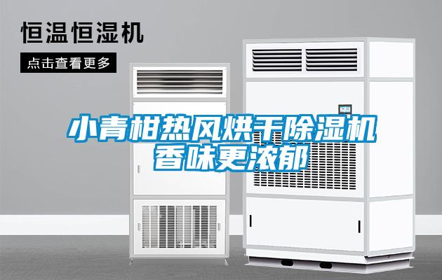 小青柑热风烘干精品一区二区三区水蜜桃 香味更浓郁