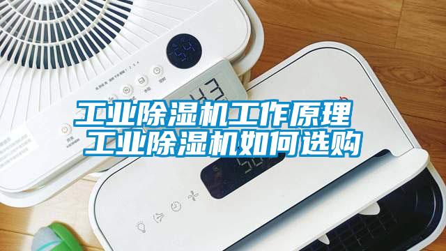工业精品一区二区三区水蜜桃工作原理 工业精品一区二区三区水蜜桃如何选购