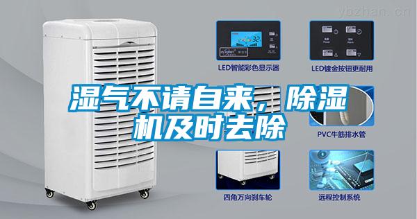 湿气不请自来，精品一区二区三区水蜜桃及时去除