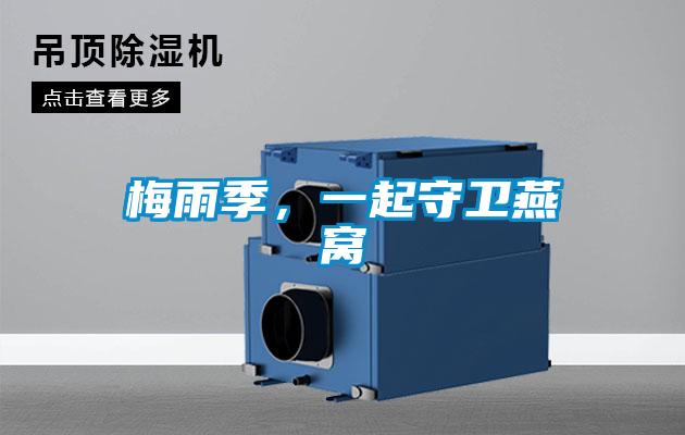 梅雨季，一起守卫燕窝