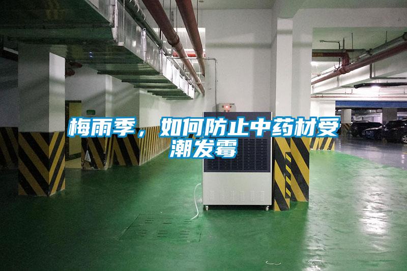 梅雨季，如何防止中药材受潮发霉