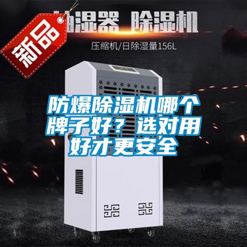 防爆精品一区二区三区水蜜桃哪个牌子好？选对用好才更安全