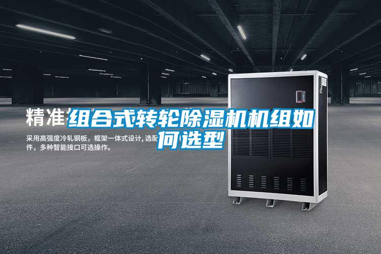 组合式转轮精品一区二区三区水蜜桃机组如何选型