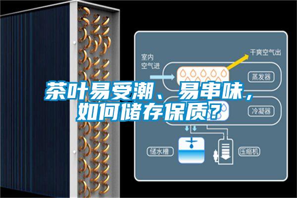 茶叶易受潮、易串味，如何储存保质？