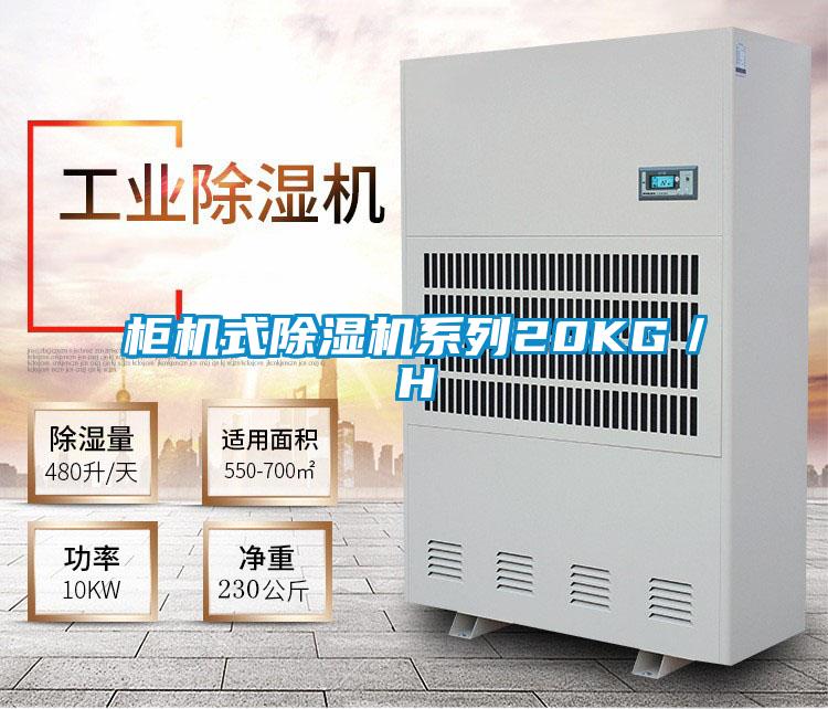 柜机式精品一区二区三区水蜜桃系列20KG/H