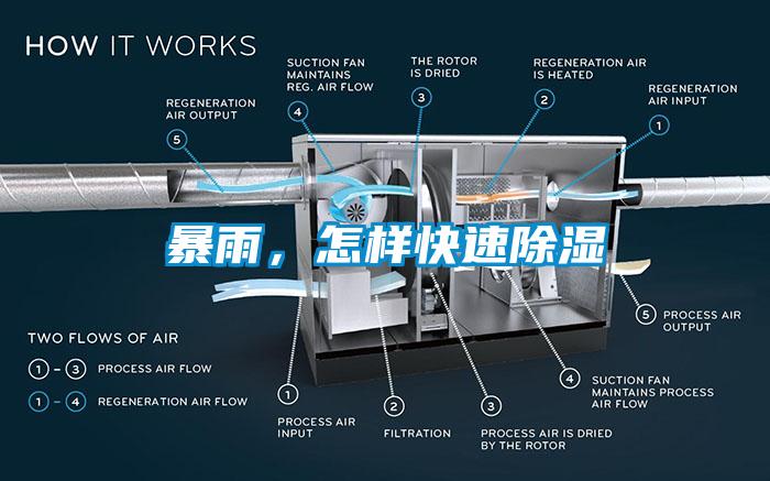 暴雨，怎样快速除湿