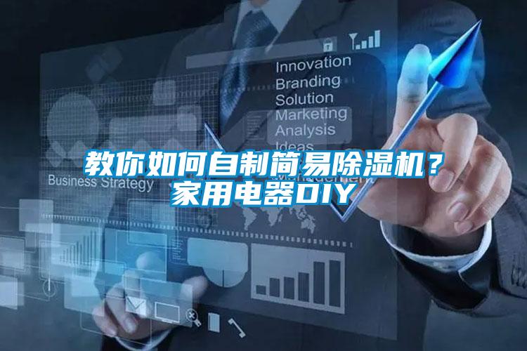 教你如何自制简易精品一区二区三区水蜜桃？家用电器DIY