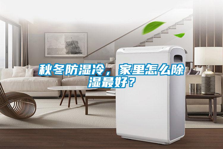 秋冬防湿冷，家里怎么除湿最好？