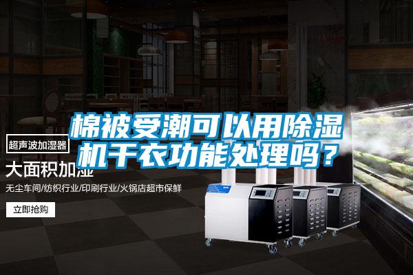 棉被受潮可以用精品一区二区三区水蜜桃干衣功能处理吗？