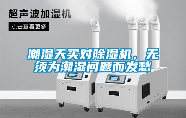 潮湿天买对精品一区二区三区水蜜桃，无须为潮湿问题而发愁