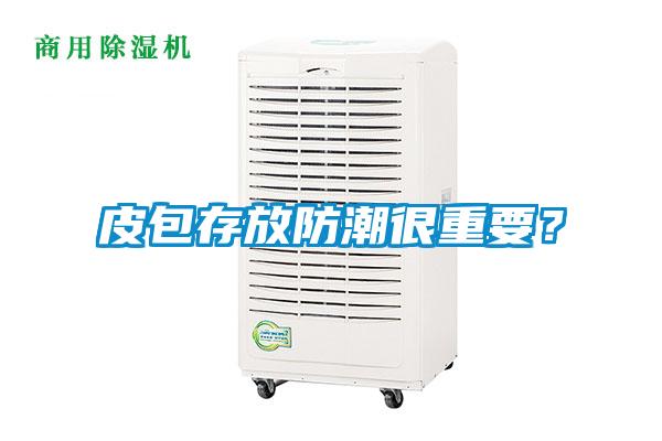 皮包存放防潮很重要？