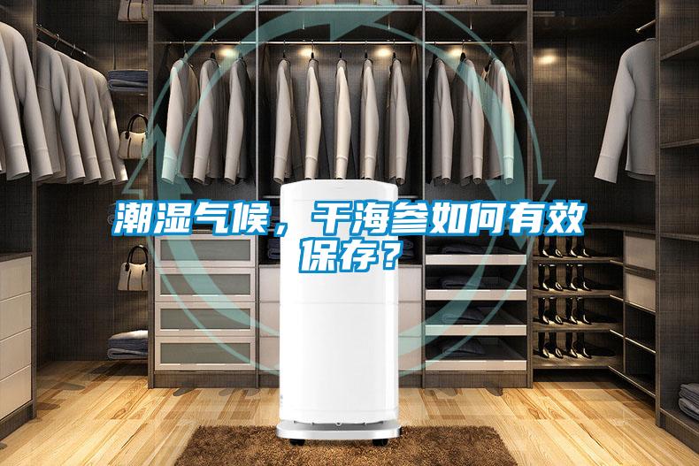 潮湿气候，干海参如何有效保存？