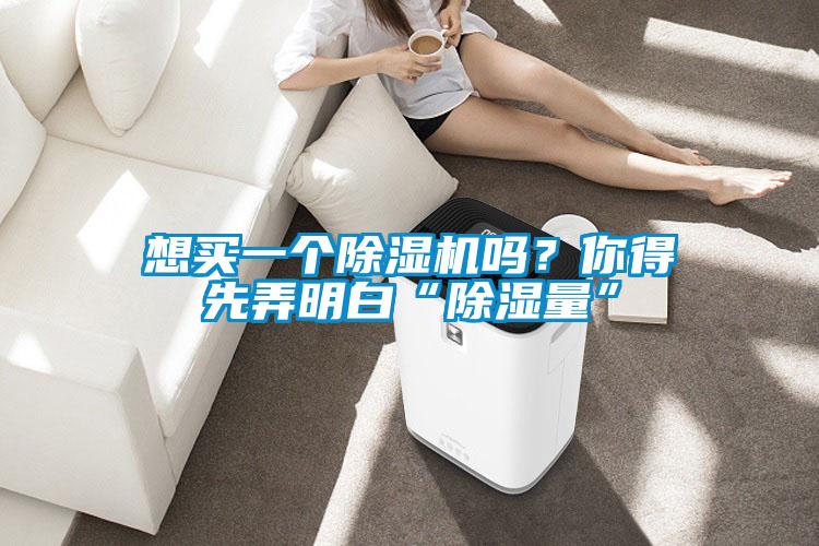 想买一个精品一区二区三区水蜜桃吗？你得先弄明白“除湿量”