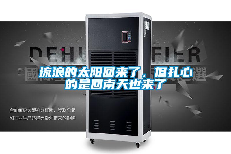 流浪的太阳回来了，但扎心的是回南天也来了