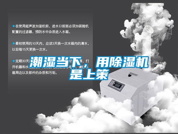 潮湿当下，用精品一区二区三区水蜜桃是上策