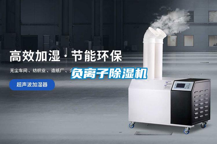 负离子精品一区二区三区水蜜桃