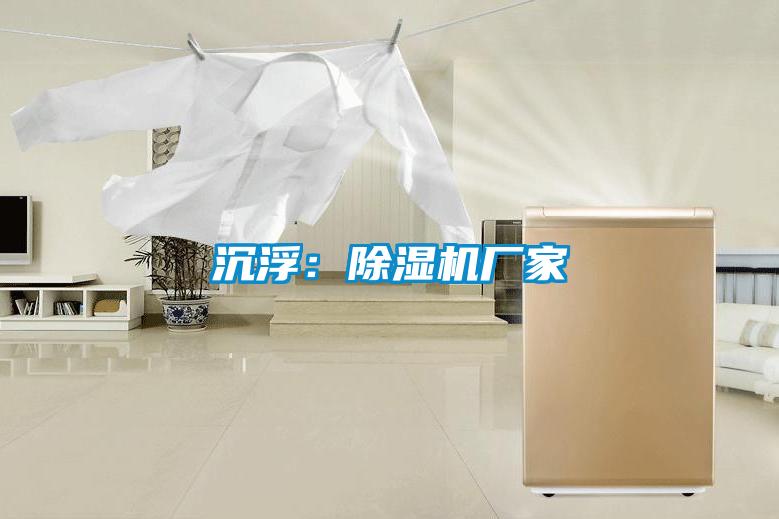 沉浮：精品一区二区三区水蜜桃厂家