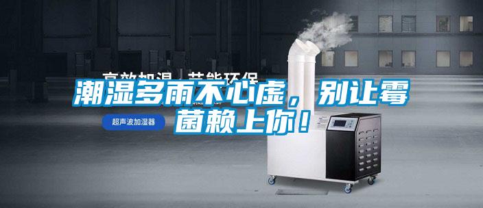 潮湿多雨不心虚，别让霉菌赖上你！