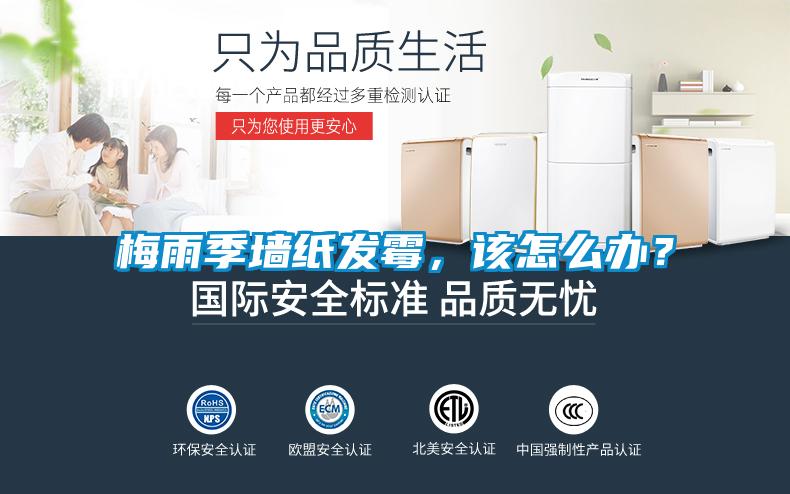 梅雨季墙纸发霉，该怎么办？