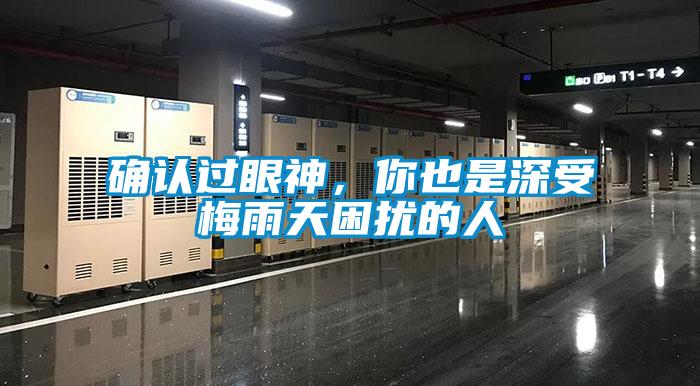 确认过眼神，你也是深受梅雨天困扰的人