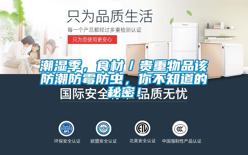 潮湿季，食材／贵重物品该防潮防霉防虫，你不知道的秘密！