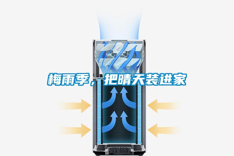 梅雨季，把晴天装进家