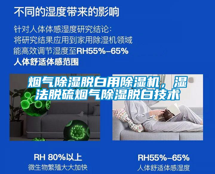 烟气除湿脱白用精品一区二区三区水蜜桃，湿法脱硫烟气除湿脱白技术